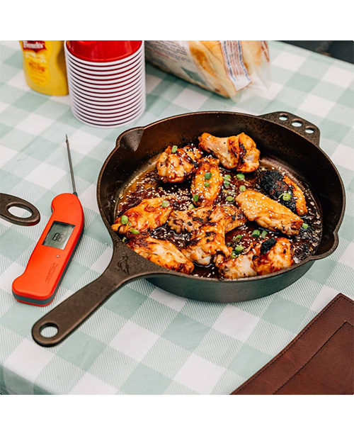 skillet-10-example Smithey Skillet No. 10