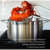 Hestan-ProBond-8-Quart-Stockpot-4
