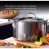 Screenshot 2025-10-08 at 12-08-51 Hestan 8-Quart Titanium Stockpot for Superior Cooking