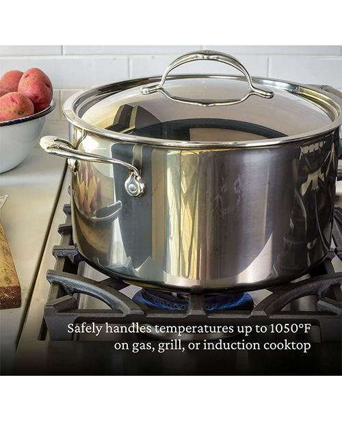 Screenshot 2025-10-08 at 12-08-56 Hestan 8-Quart Titanium Stockpot for Superior Cooking