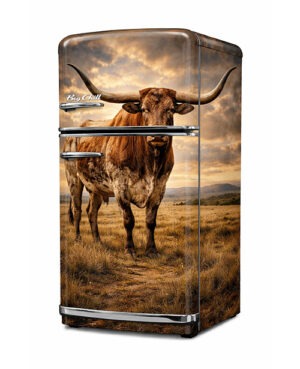 Longhorn wrapped refrigerator