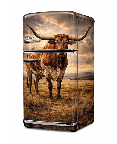 loghorn Longhorn wrapped refrigerator