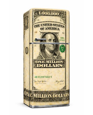 million dollar wrapped refrigerator